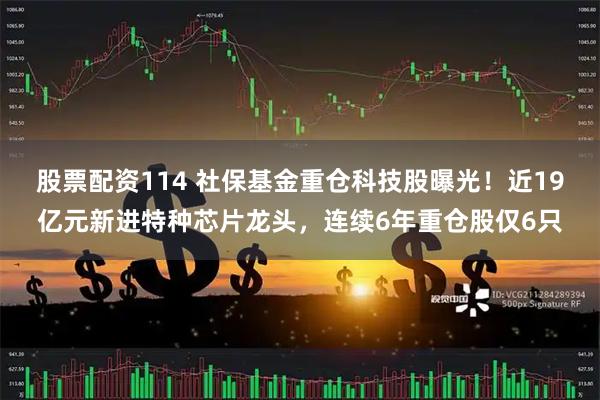 股票配资114 社保基金重仓科技股曝光！近19亿元新进特种芯片龙头，连续6年重仓股仅6只
